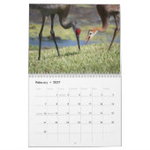 Sandhill streckt Kalender 2017 (Feb 2027)