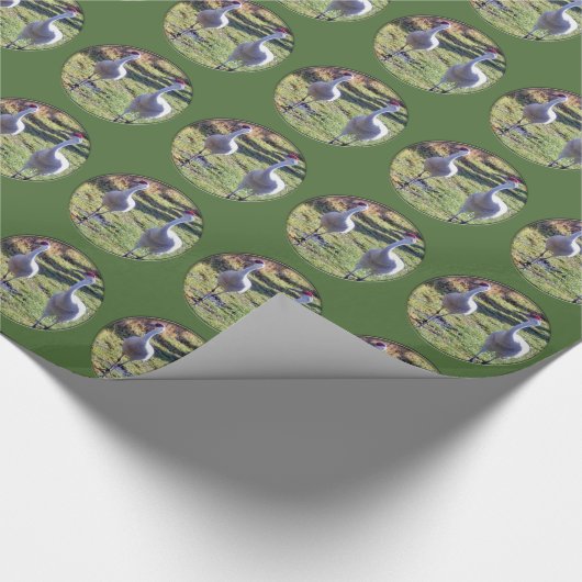 Sandhill streckt Packpapier (Ecke)