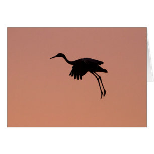 Sandhille Silhouette am rosa Sonnenuntergang