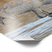 Sandhügelkrane im Sumpf Fotodruck (Ecke)