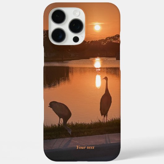 Sandhügelkrane Silhouette bei Sunset Case-Mate iPhone Hülle (Rückseite)