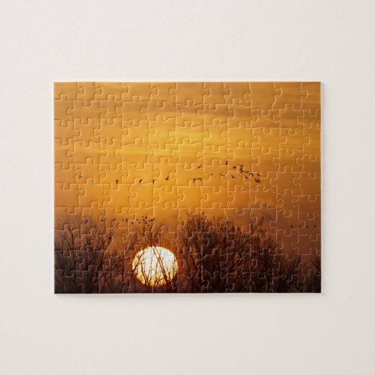 Sandhügelkrane, silhouettiert gegen aufgehende Son Puzzle (Horizontal)