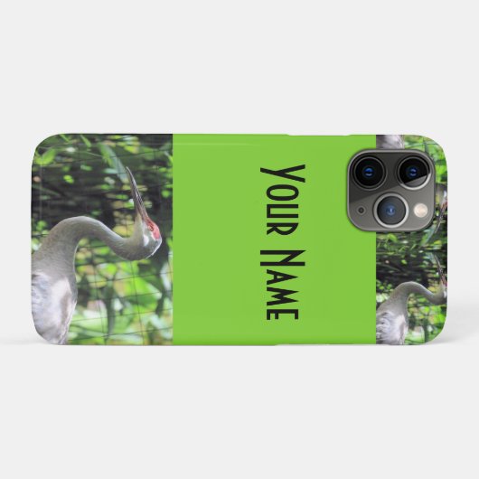 Sandhügelkranich Case-Mate iPhone Hülle (Rückseite (Horizontal))