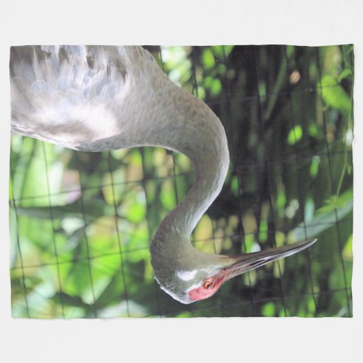 Sandhügelkranich Fleecedecke (Vorderseite (Horizontal))