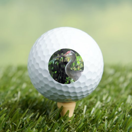 Sandhügelkranich Golfball (Insitu T-Shirt)