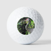Sandhügelkranich Golfball (Vorderseite)