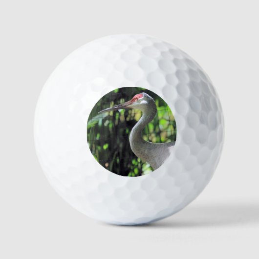 Sandhügelkranich Golfball (Vorderseite)