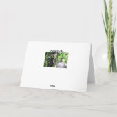 Sandhügelkranich Karte (Rückseite)