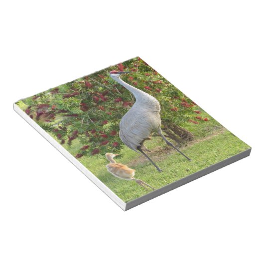 Sandhügelkranich mit Küken im Bottlebrush Notepad Notizblock (angewinkelt)