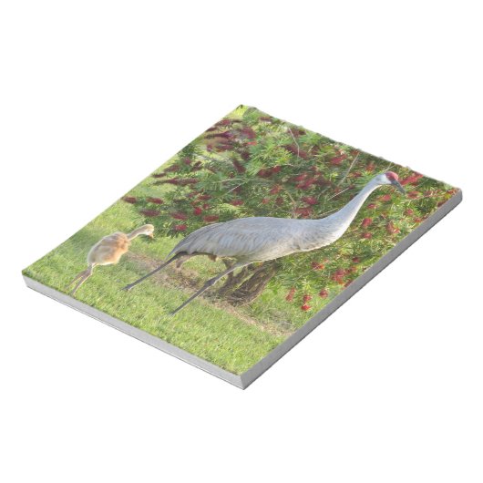 Sandhügelkranich mit Küken im Bottlebrush Notepad Notizblock (Rotiert)