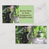 Sandhügelkranich Visitenkarte (Vorne/Hinten)