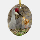 Sandhügelkranvogel mit Kick-Colt-Fotografie Keramik Ornament (Rechts)