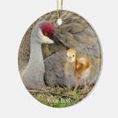 Sandhügelkranvogel mit Kick-Colt-Fotografie Keramik Ornament (Links)