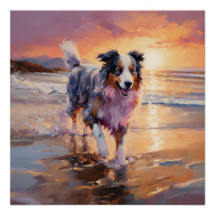 Sandiger Australischer Schäferhund am Strand bei S Poster