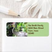 Sandkranich (Insitu)