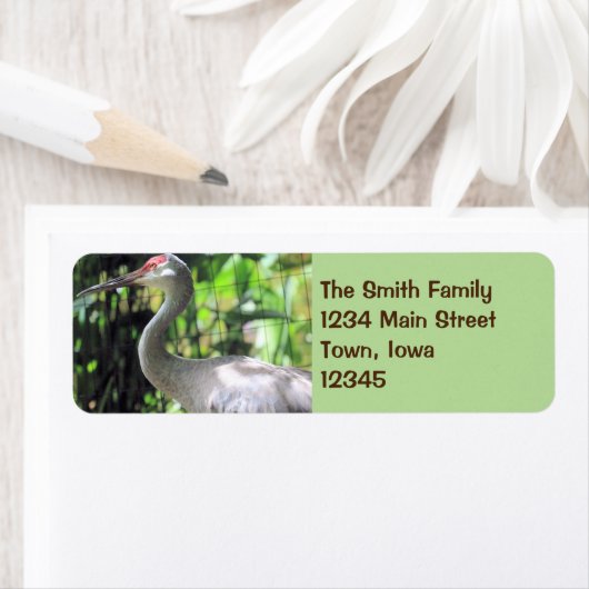 Sandkranich (Insitu)