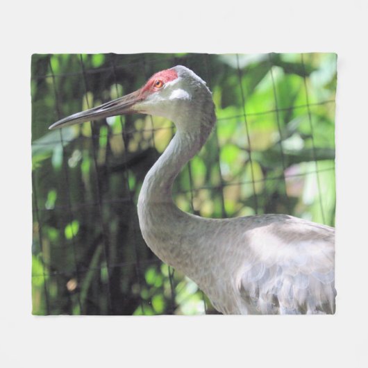 Sandkranich Fleecedecke (Vorderseite (Horizontal))