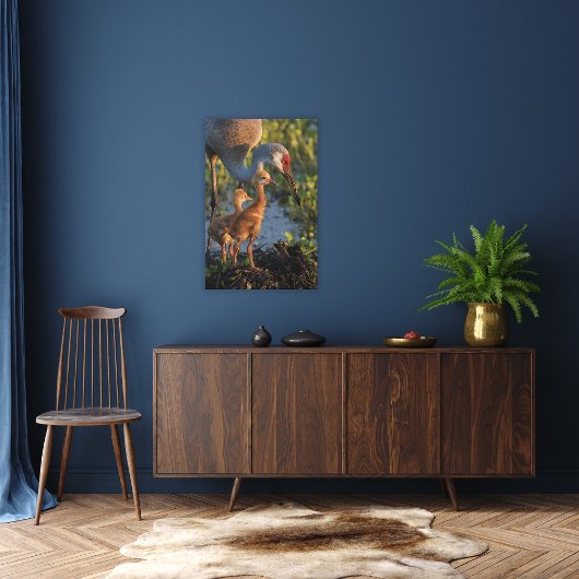 Sandkranich mit Küken, Florida Leinwanddruck