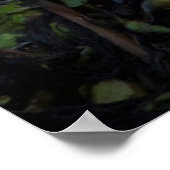 Sandkranich mit Küken, Florida Poster (Ecke)