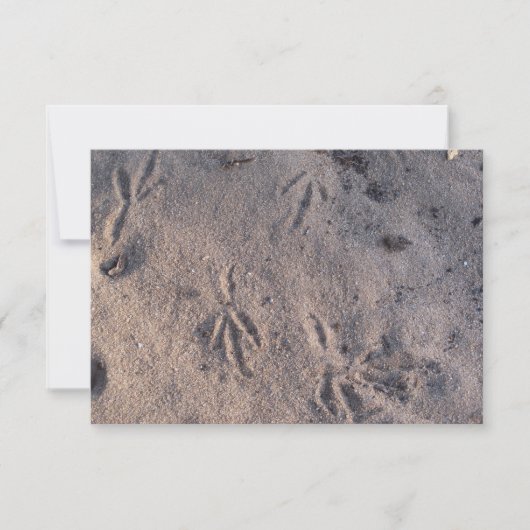 Sandkranspuren auf einer Karte im Sand (Vorderseite)