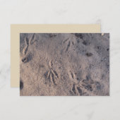 Sandkranspuren auf einer Karte im Sand (Vorne/Hinten)