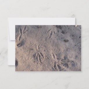Sandkranspuren auf einer Karte im Sand