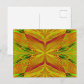Sandmücke 1 postkarte (Vorne/Hinten)