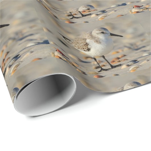 Sandpfeifer und Seashells Geschenkpapier (Rolleneckpunkt)