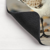 Sandpfeifer und Seashells Mousepad (Ecke)