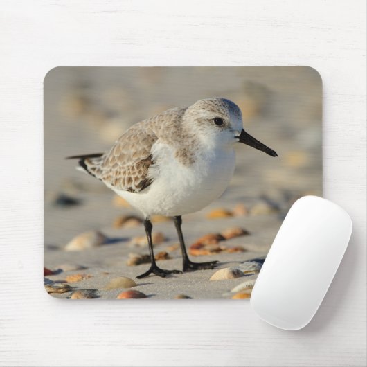 Sandpfeifer und Seashells Mousepad (Mit Mouse)