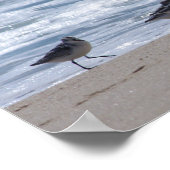 Sandpferde am Strand Poster (Ecke)