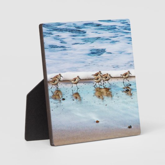 Sandpferde entlang des Strandes Fotoplatte (Vorderseite)