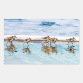 Sandpferde entlang des Strandes Rechteckiger Aufkleber (Vorderseite)