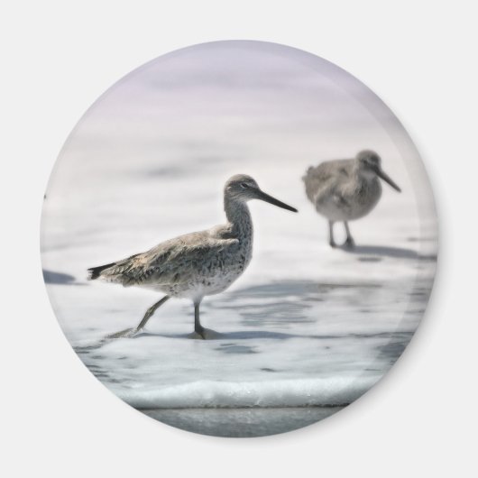 Sandpferde Magnet (Vorne)