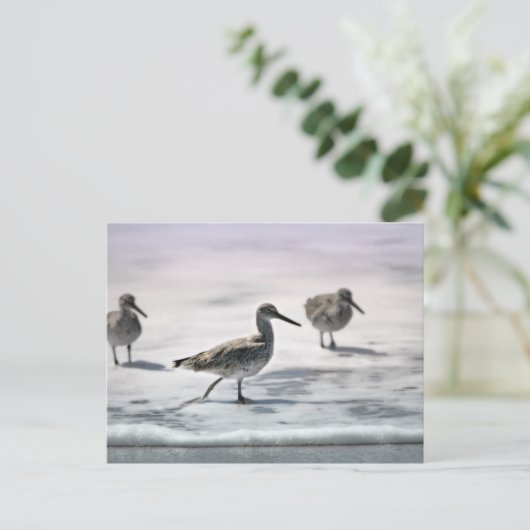 Sandpferde Postkarte (Stehend Vorderseite)