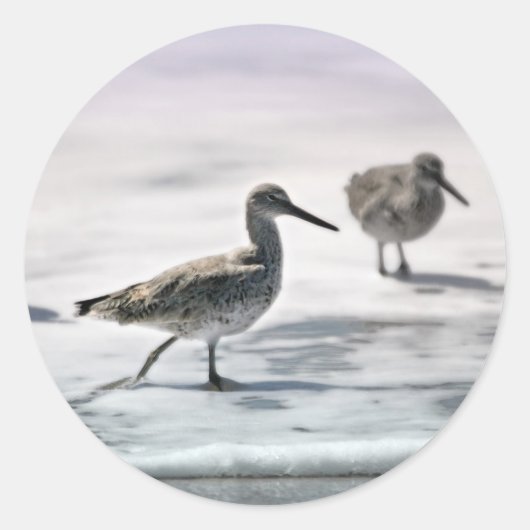 Sandpferde Runder Aufkleber (Vorderseite)