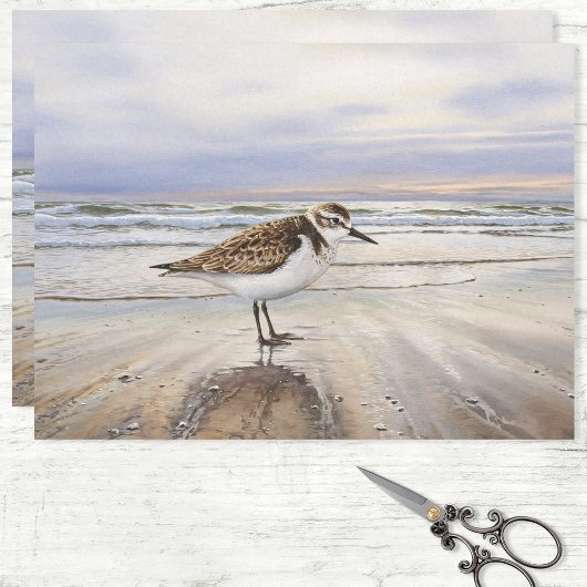 Sandpiper am Beach Bird Art Decoupage Seidenpapier