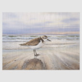 Sandpiper am Beach Bird Art Decoupage Seidenpapier (Vorderseite)
