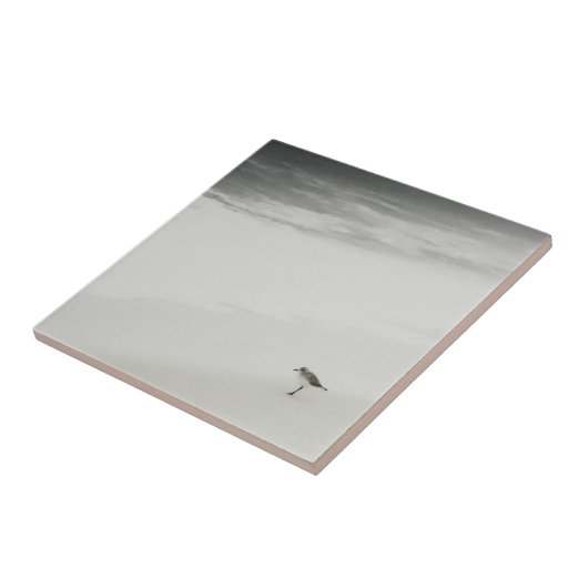 Sandpiper am Strand Fliese (Seite)