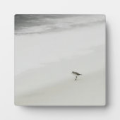 Sandpiper am Strand Fotoplatte (Vorderseite)