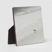 Sandpiper am Strand Fotoplatte (Vorderseite)