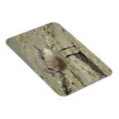 Sandpiper am Strand Magnet (Rechte Seite)