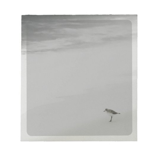 Sandpiper am Strand Notizblock (Vorderseite)