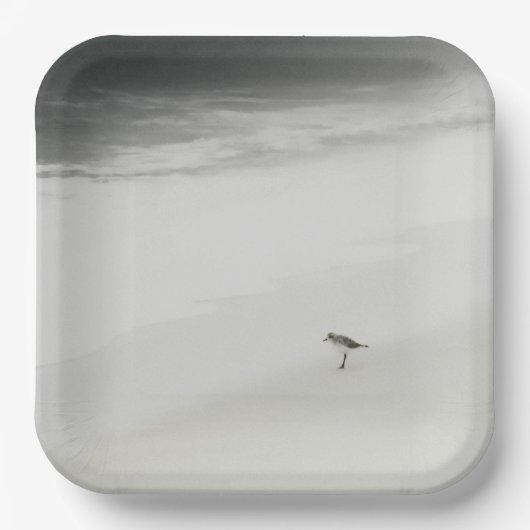 Sandpiper am Strand Pappteller (Vorderseite)