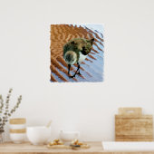 Sandpiper am Strand Poster (Küche)