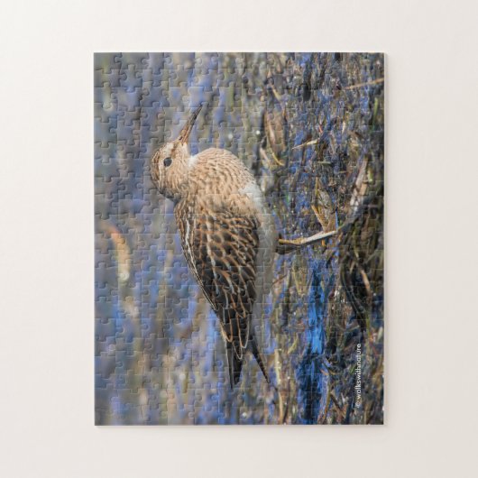 Sandpiper am Strand Puzzle (Vertikal)