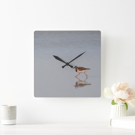 Sandpiper am Strand Quadratische Wanduhr (Zuhause)