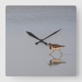 Sandpiper am Strand Quadratische Wanduhr