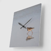 Sandpiper am Strand Quadratische Wanduhr (Winkel)