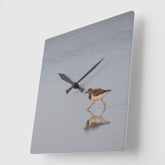 Sandpiper am Strand Quadratische Wanduhr (Winkel)